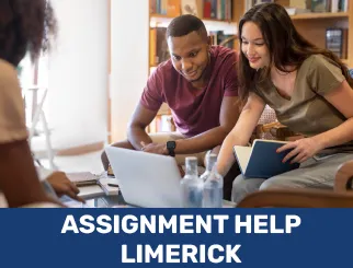 assignment-help-limerick