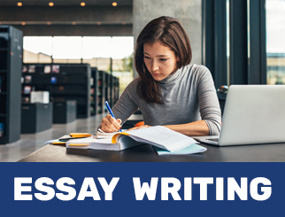 essay-writing-service