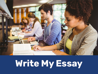 write-my-essay